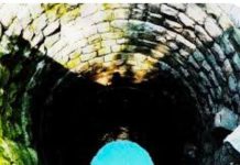 म्हैसदोडका येथे विवाहितेची विहिरीत उडी घेऊन आत्महत्या