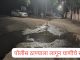 स्वच्छतेचा संदेश देणाऱ्या कार्यालया समोरच घाणीचे साम्राज्य , दिव्याखाली अंधार.