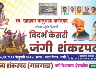वणीत स्वर्गीय खासदार बाळू धानोरकर यांच्या स्मृती प्रित्यर्थ जंगी शंकर पट.