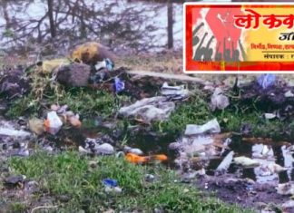 गोकुळ नगर मध्ये घाणीचे साम्राज्य, नागरिकांचे आरोग्य धोक्यात.