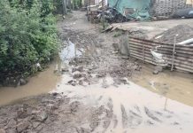 चिंचाळा गावात समस्यांचा पोळा, प्रशासन सुस्त, सरपंच मस्त,जनता त्रस्त..