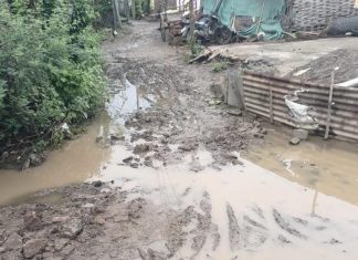 चिंचाळा गावात समस्यांचा पोळा, प्रशासन सुस्त, सरपंच मस्त,जनता त्रस्त..