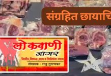 गोमांस विक्री करतांना दोघांना अटक, मारेगाव पोलिसांची कारवाई.