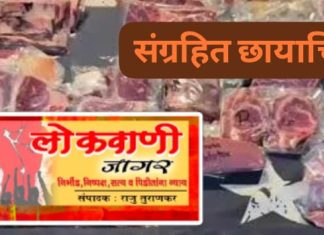गोमांस विक्री करतांना दोघांना अटक, मारेगाव पोलिसांची कारवाई.