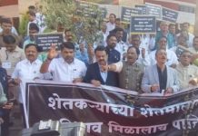 आ. संजय देरकर यांनी कपासीचे झाड घेवून मागितले शेतकऱ्यांना कापसाचे हमीभाव.