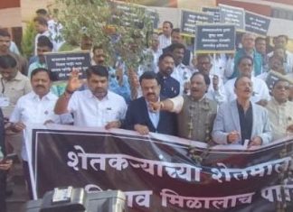 आ. संजय देरकर यांनी कपासीचे झाड घेवून मागितले शेतकऱ्यांना कापसाचे हमीभाव.