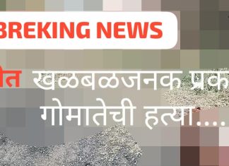 दोन गो मातेचे कापलेले मुंडके रस्त्यावर, परीसरात खळबळ.