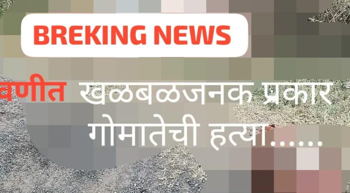 दोन गो मातेचे कापलेले मुंडके रस्त्यावर, परीसरात खळबळ.