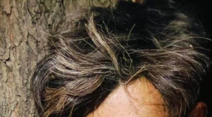 नायगाव शेत शिवारात आढळला अनोळखी तरुणाचा मृतदेह.