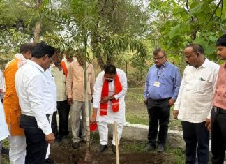 मारेगावात जागतिक पर्यावरण दिन साजरा.