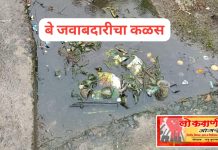 राष्ट्रसंत तुकडोजी महाराजांच्या पदस्पर्शाने पावन झालेल्या, चिंचाळा गावात समस्यांचा महापूर