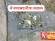 राष्ट्रसंत तुकडोजी महाराजांच्या पदस्पर्शाने पावन झालेल्या, चिंचाळा गावात समस्यांचा महापूर