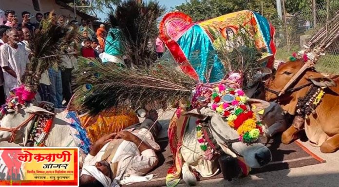 उद्या गौराळा – वरूड टेकडीवर गायगोधन यात्रा.