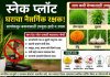 स्नेक प्लांट ठरतोय घराचा नैसर्गिक रक्षक…